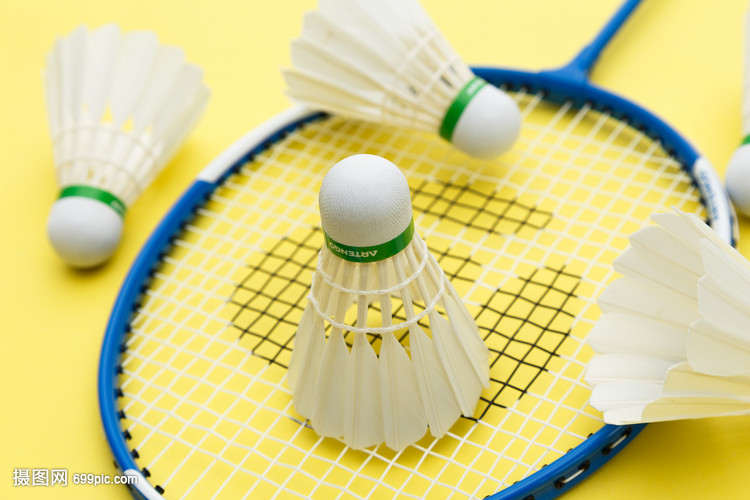 对抗制裁 对抗制裁