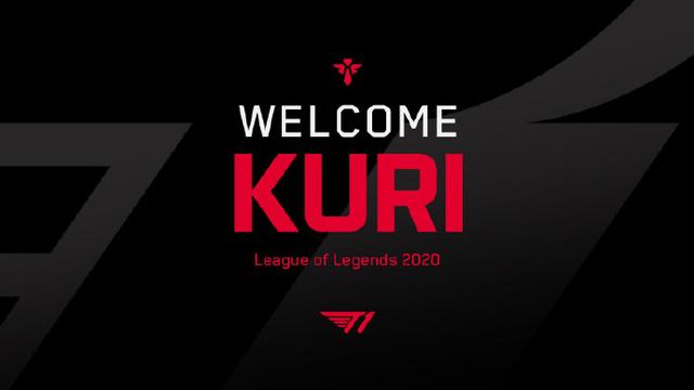 一个易受变 一个易受变